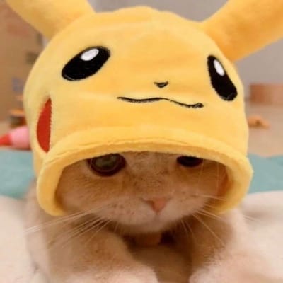 Lê Bảo Trâm avatar